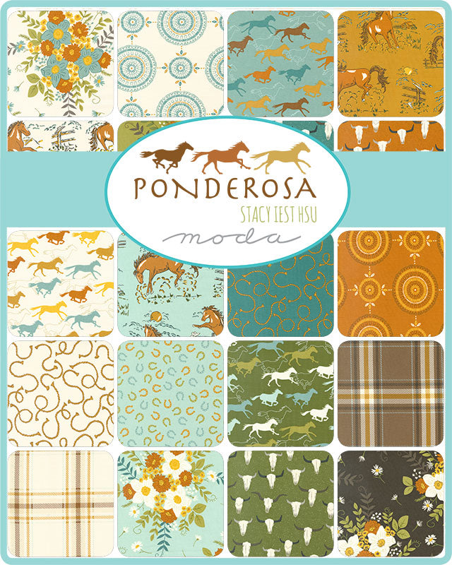 CLEARANCE Sky Lucky Horseshoe Ponderosa by Stacy Iest Hsu for Moda / 20866 17 / FULL yard continuous cut
