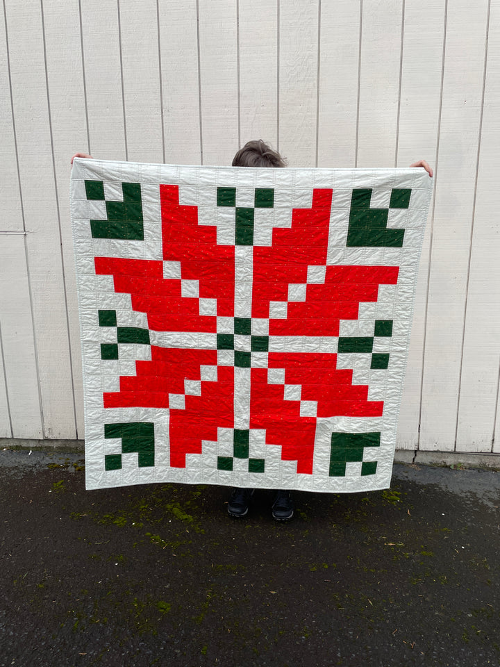 Watermelon FINISHED QUILT