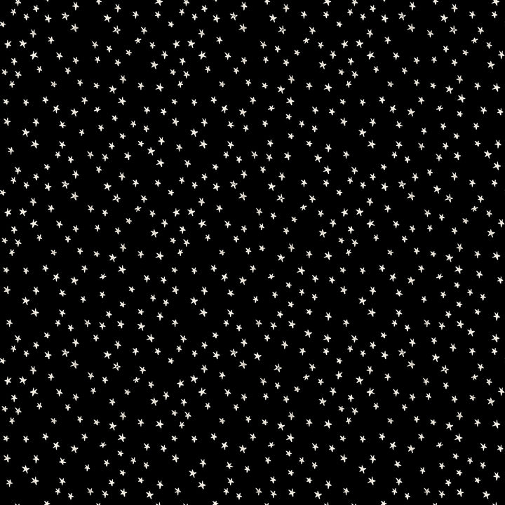 Good Spirits Black Mini Starry Fabric Collaborative Collection for Ruby Star Society / RS5142 16 / Half yard continuous cut