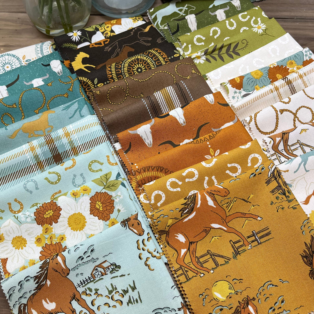 CLEARANCE Ponderosa by Stacy Iest Hsu Charm Pack