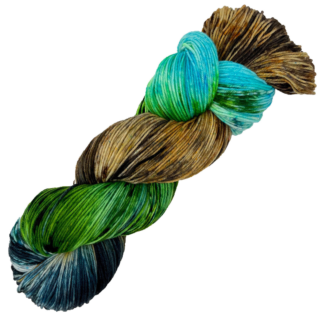 Katahdin Woods and Waters National Monument - Hand dyed yarn - Mohair - Fingering - Sock - DK - Sport - Worsted - Bulky - Variegated