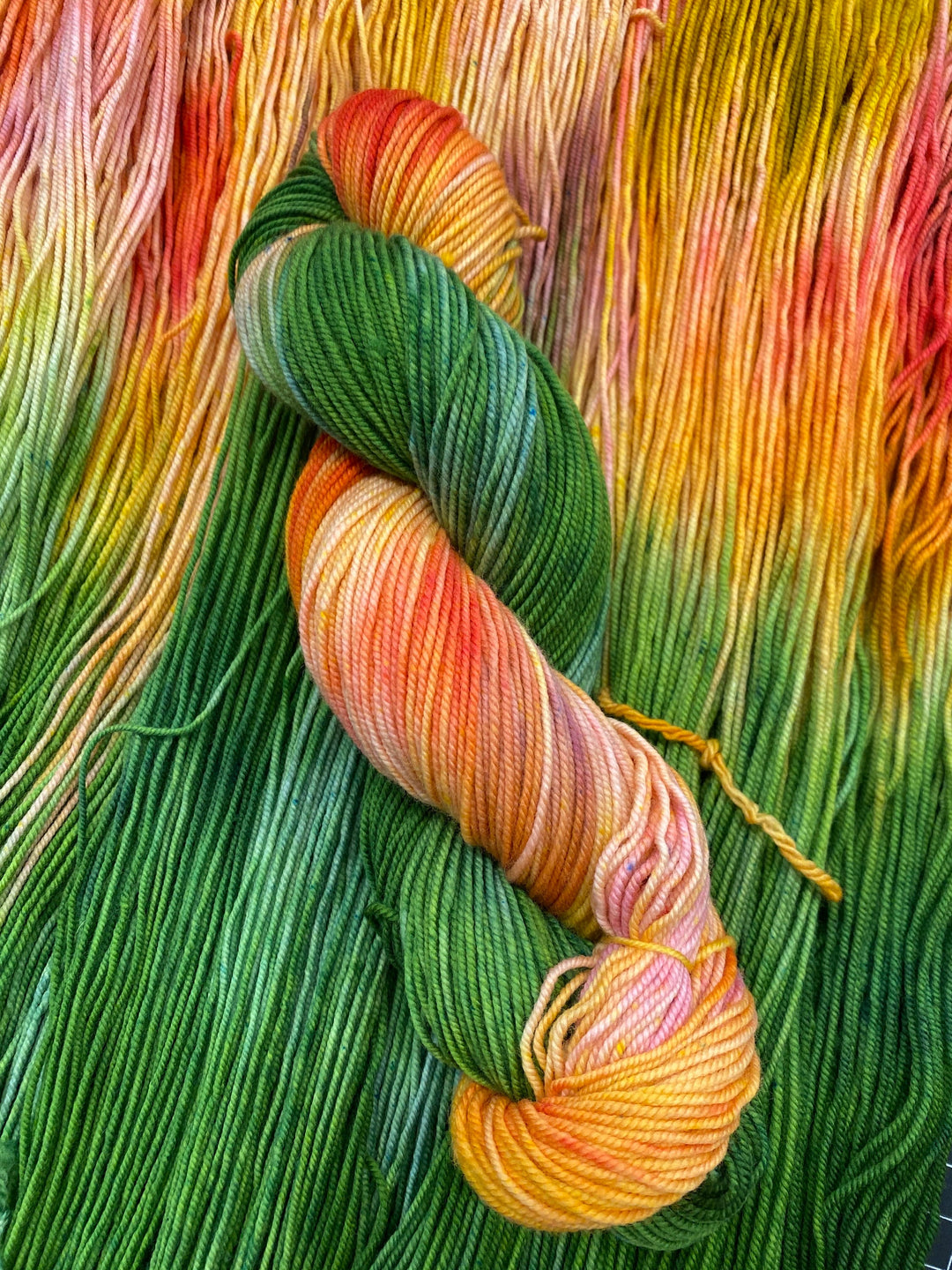 Get a Chard On - Hand dyed yarn - Mohair - Fingering - Sock - DK - Sport - Worsted - Bulky - Variegated Yarn